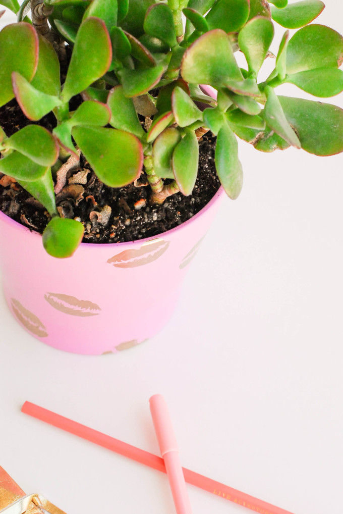 DIY Pucker Planter