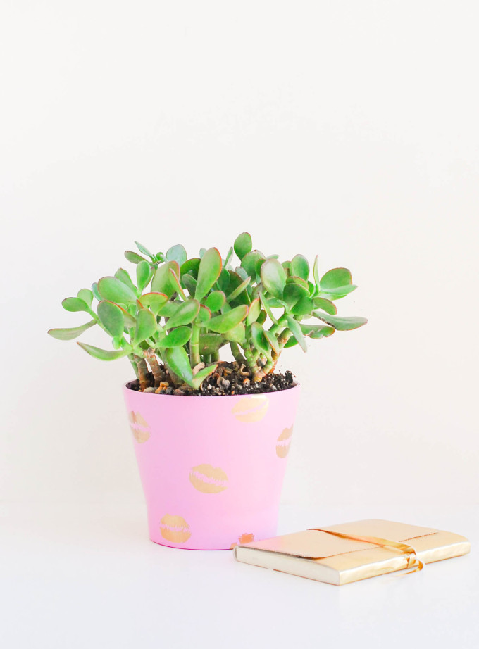 DIY Pucker Planter