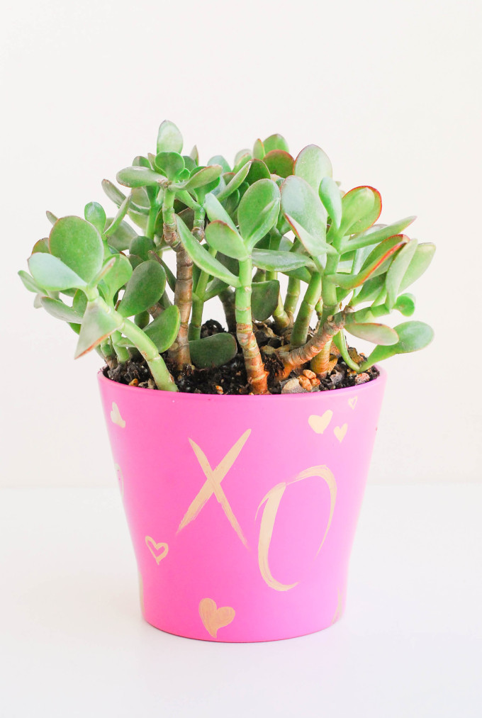 DIY Pucker Planter