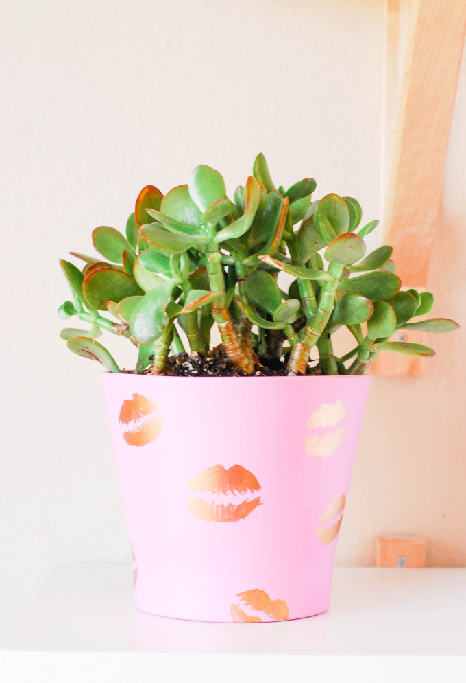 DIY Pucker Planter