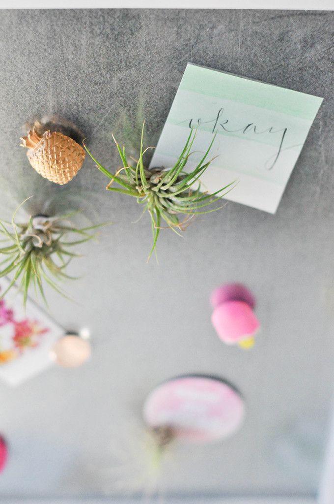 DIY Airplant Magnets