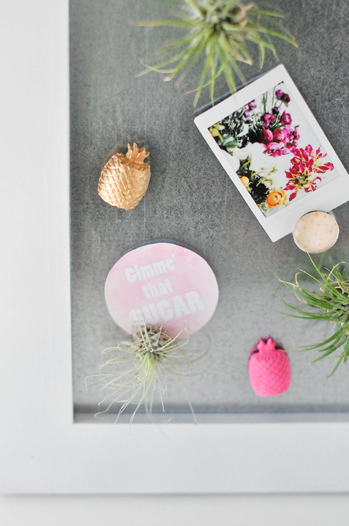 DIY Airplant Magnets