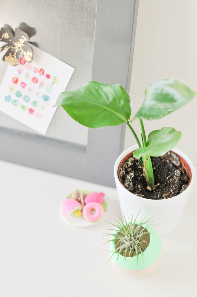 DIY Lucky Leather Magnets