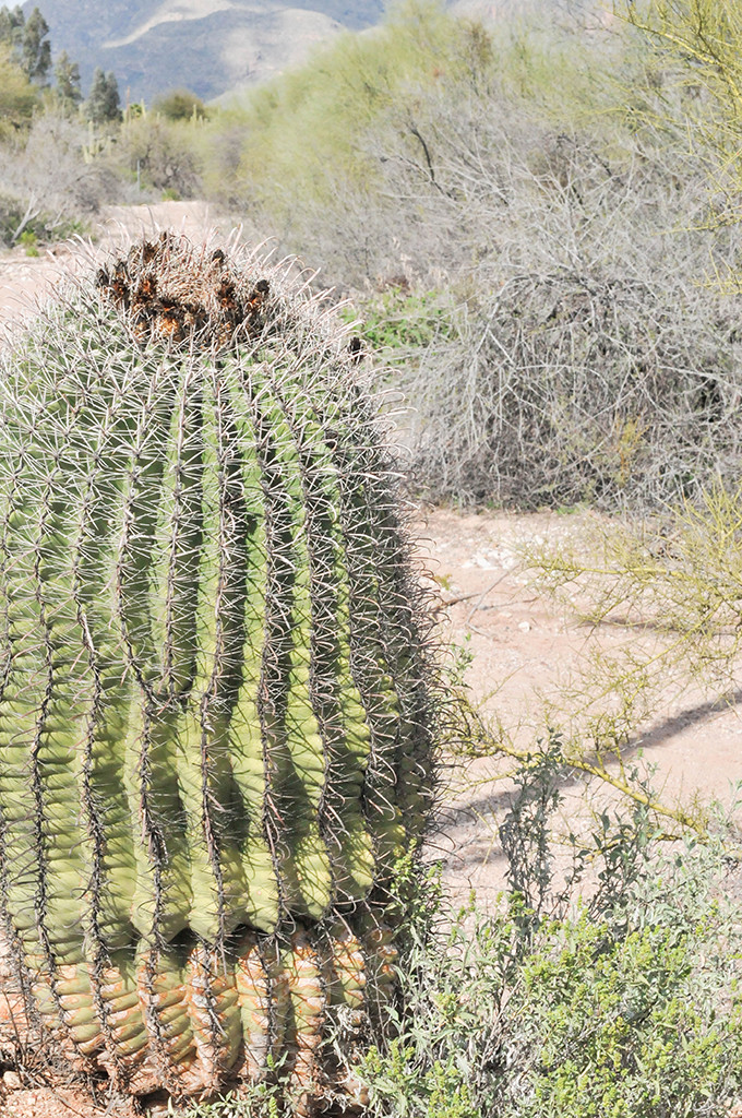 On The Road \\ A Weekend In Tucson