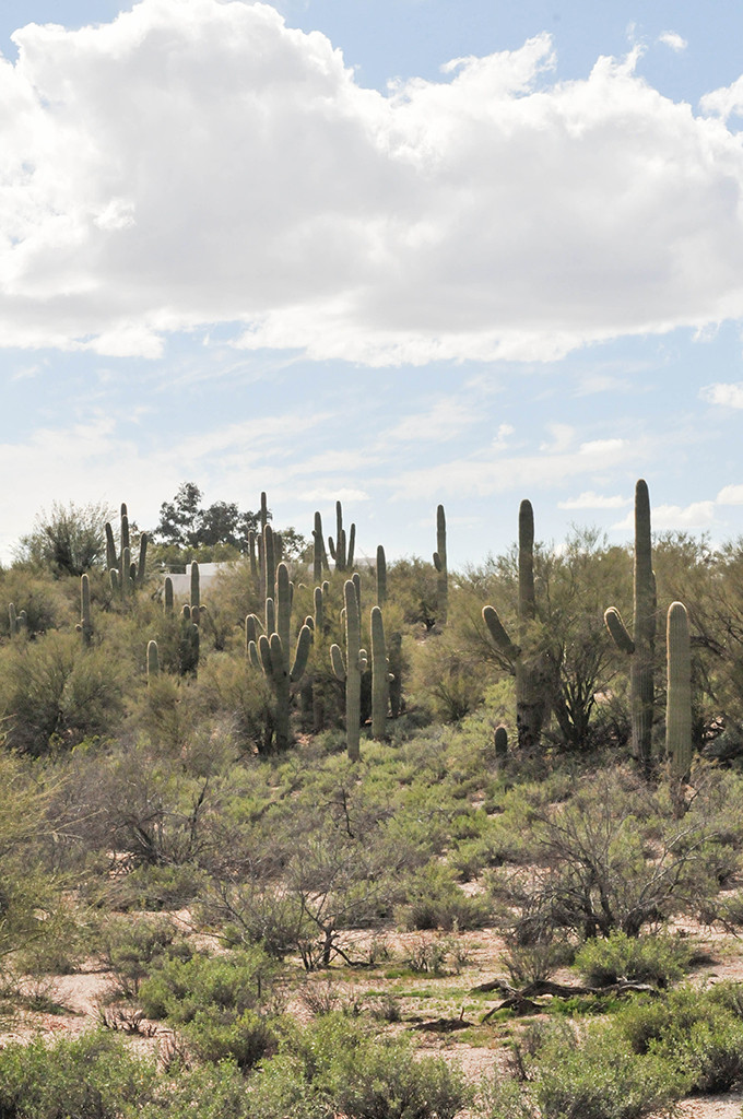 On The Road \\ A Weekend In Tucson