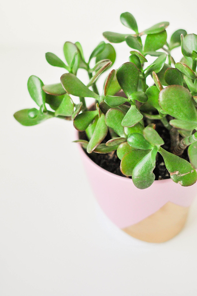 DIY Geometric Vase