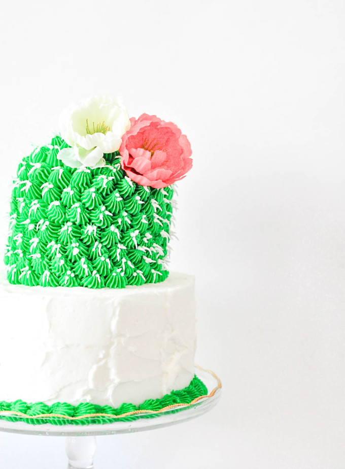 colorful cactus cake