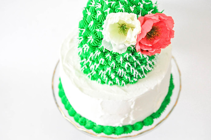 colorful cactus cake
