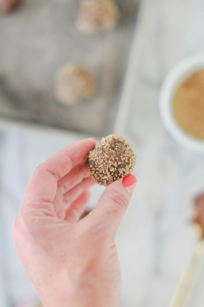 Brownie Snap Cookies