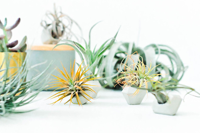 DIY Concrete Gem Mini Planters | www.theproperblog.com 