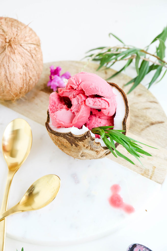 Assorted Fruit Sorbet Bowls || www.theproperblog.com