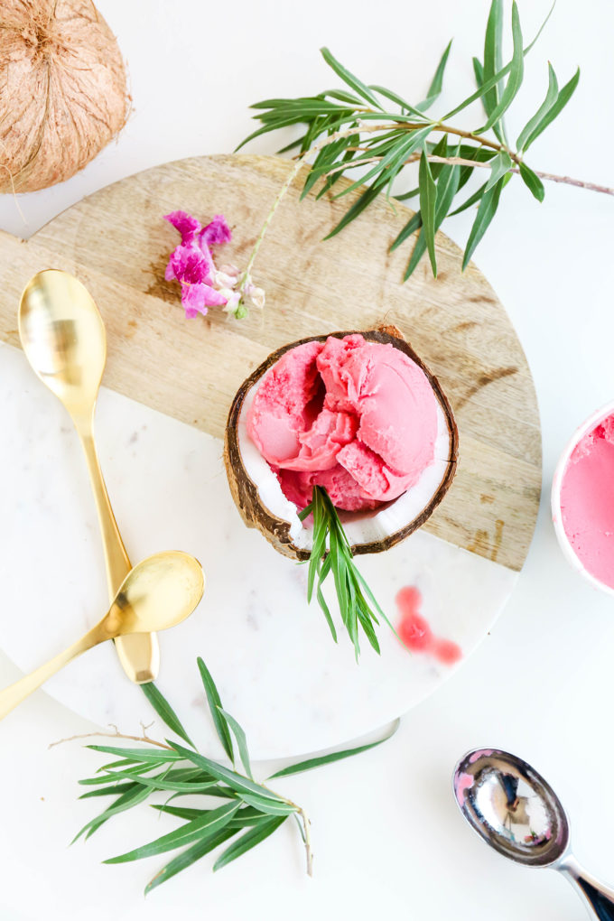 Assorted Fruit Sorbet Bowls || www.theproperblog.com