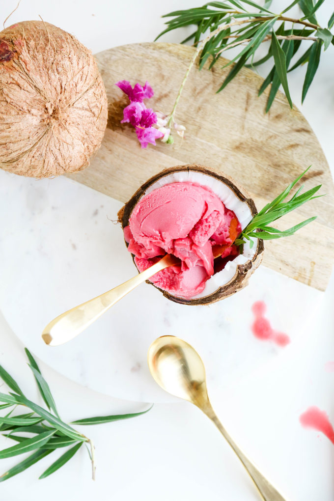 Assorted Fruit Sorbet Bowls || www.theproperblog.com