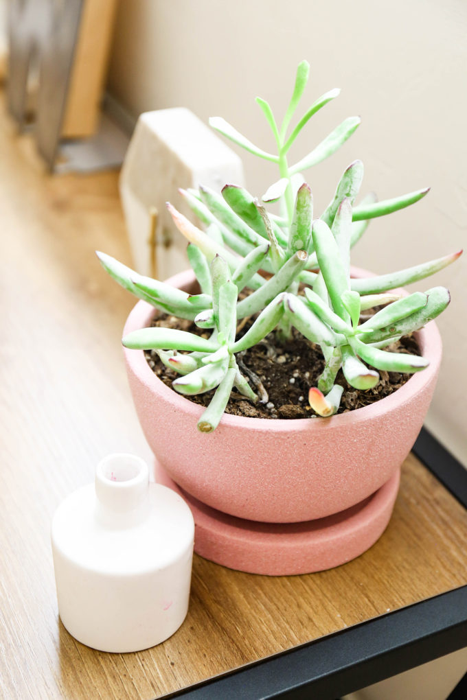 #ChangingSpaces \\ A Botanical Entryway Makeover For Spring 