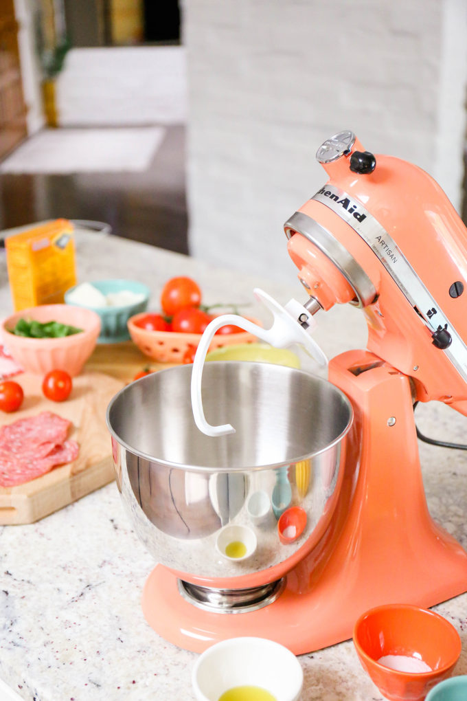 kitchenaid mixer bird of paradise