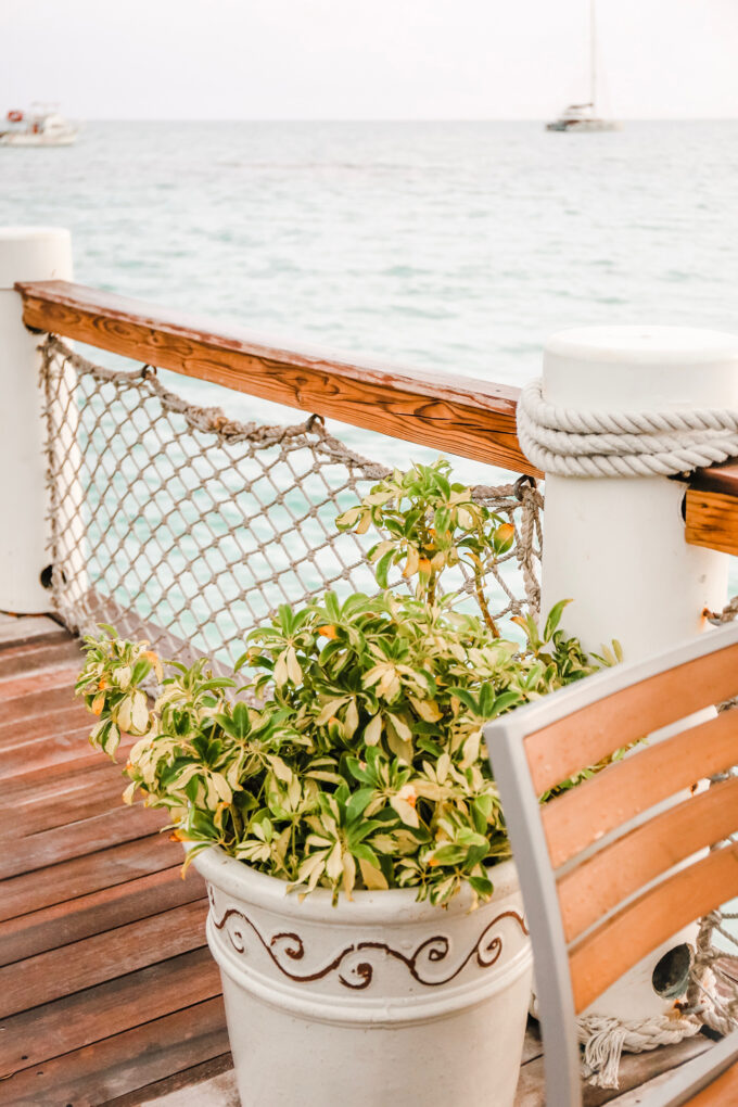 plant on pier in turks and caicos 