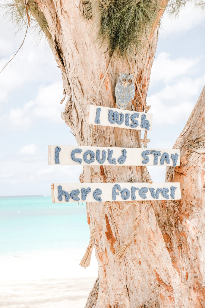 tree with forever sign hanging on beach 