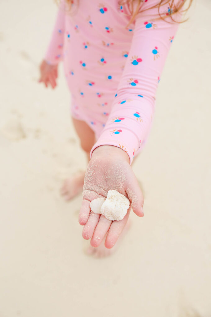 little girl holding seashell in hand