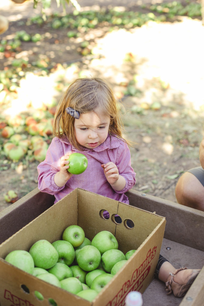 little girl looking at apples 