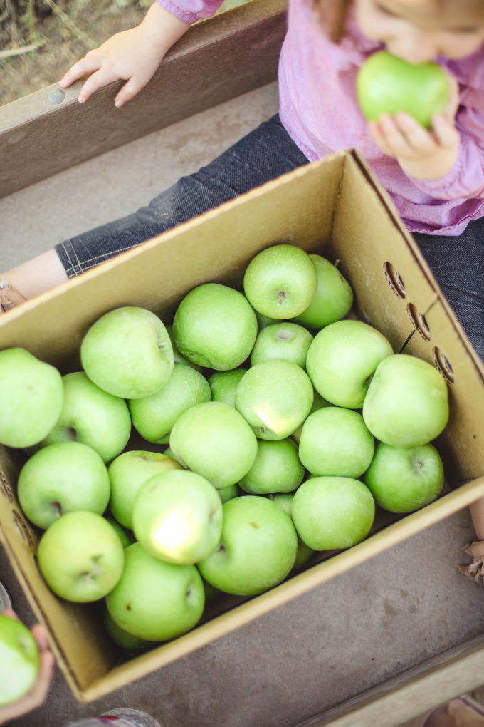 crate of granny smith apples 