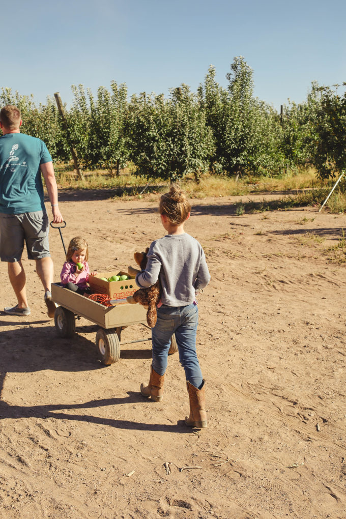 kids walking to apple orchard 