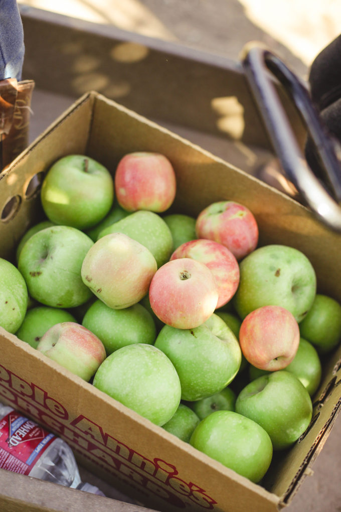 crate of apples 