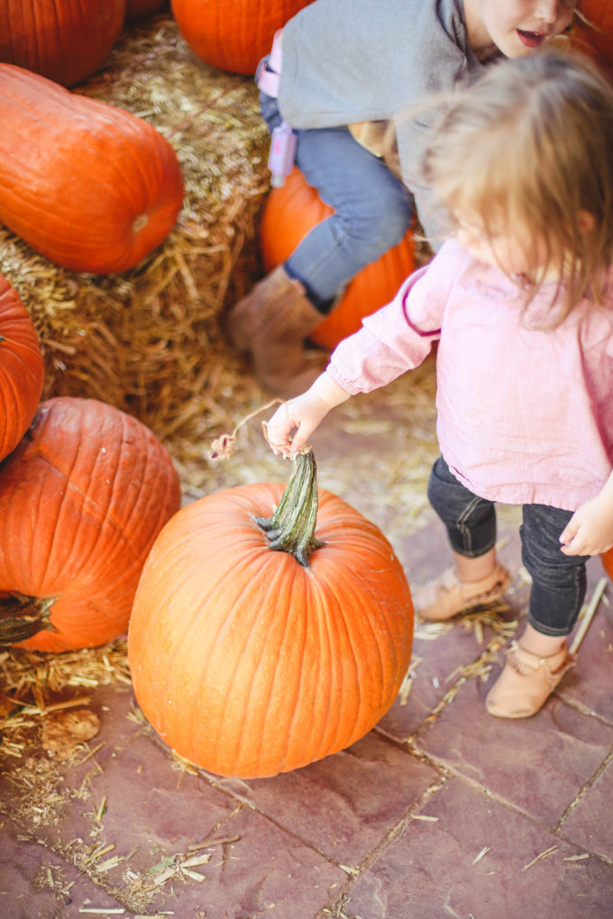little girl sitting on pumpkins 