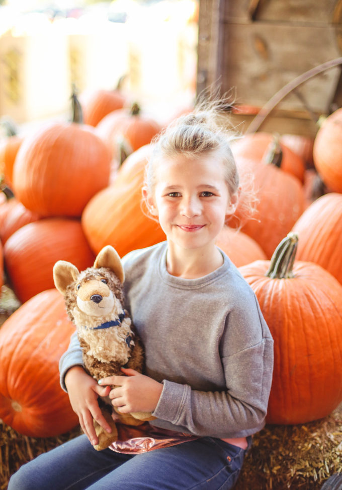 little girl sitting on pumpkins 