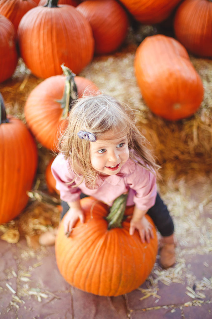 toddler girl sitting on pumpkin 