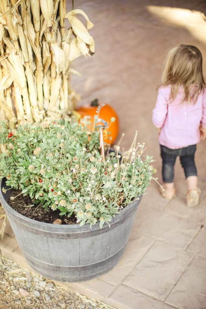 girl walking by pot of mums 