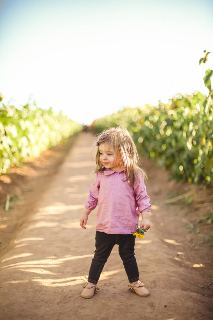 toddler girl standing in sunflower fields 