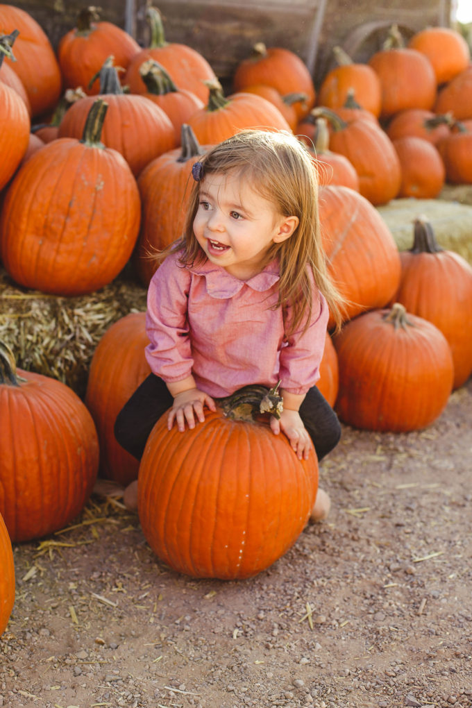 toddler girl sitting on pumpkins 