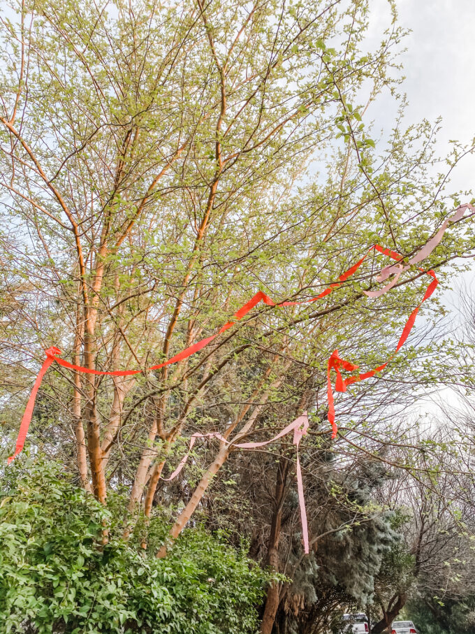 ribbon tissue paper hanging from trees for scavenger hunt 